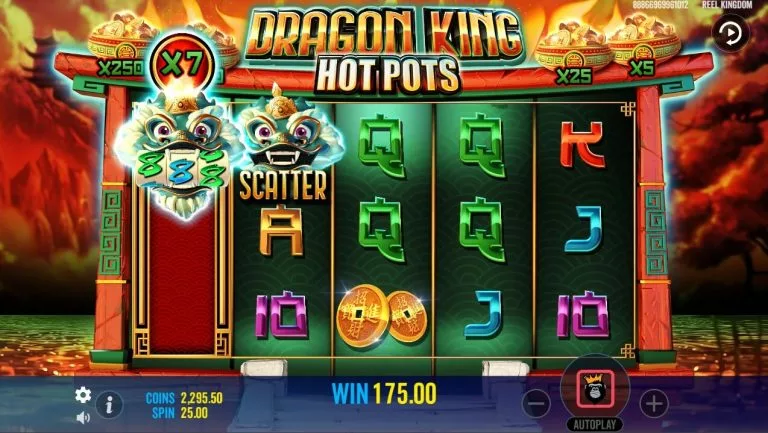 Dragon King Hot Pots