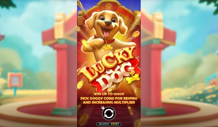Lucky Dog pragmatic play